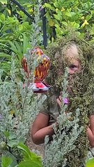 Observation sérieuse de colibris - Buzz Buddy