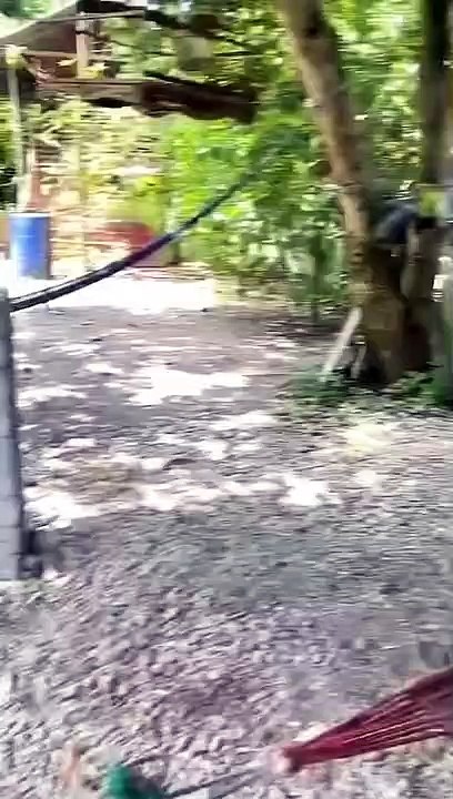 Funny video #1
