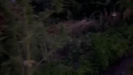 Son dakika haberleri | Uyuşturucu operasyonunda 1şüpheli tutuklandı