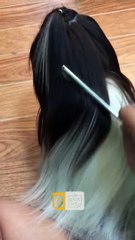 Objectifs de poils de chien - Buzz Buddy