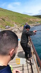 Énorme pêcheur aux encres de calmar - Buzz Buddy