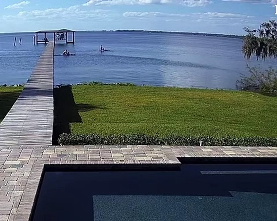 Des caméras de sécurité capturent des paddleboarders rencontrant des lamantins - Buzz Buddy