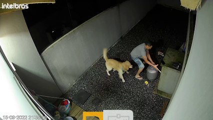 Une vanne cassée provoque une fuite de gaz - Buzz Buddy