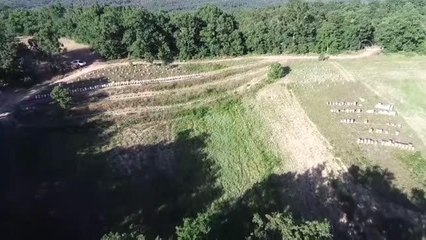 "Kırklareli meşe balı"nda kovan sayısı 3 yılda 2 katına çıktı