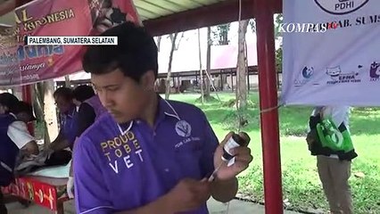 PDHI Sumsel Gelar Vaksinasi Rabies, Sterilisasi Hingga Pemasangan Microhip untuk Anjing