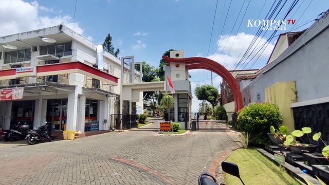 Komunitas Pecinta Kucing Sterilisasi Perumahan Pasca Viral