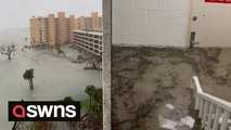 Whole neighbourhoods flooded as Hurricane Ian makes its way through Florida bringing torrential rain and stormy weather
