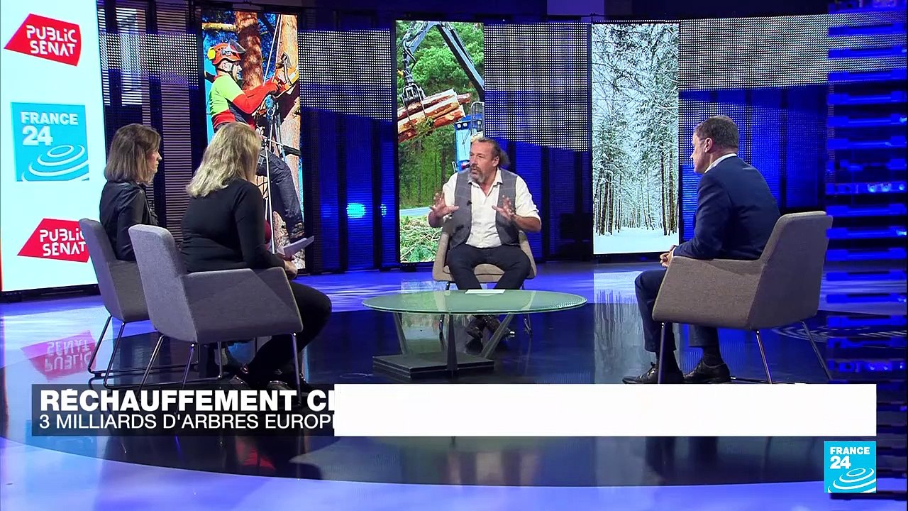 Réchauffement climatique : trois milliards d’arbres européens, vite !