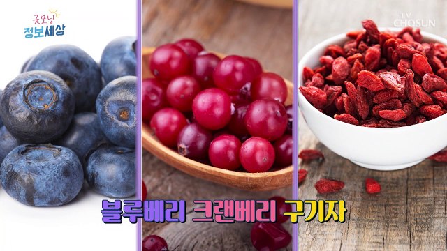 혈관 건강에 탁월한 레드 다이아몬드인 『 구기자 』 TV CHOSUN 220929 방송