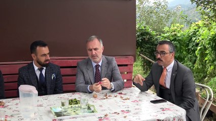 İnegöl’de ceviz hasadı başladı