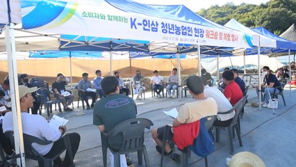 [녹색] 소비자와 함께하는 K-인삼 청년 농업인 체험행사 / YTN