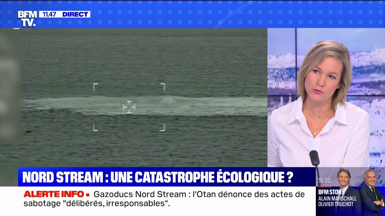 Quel est l'impact pour l'environnement des fuites des gazoducs Nord Stream? BFMTV répond à vos questions