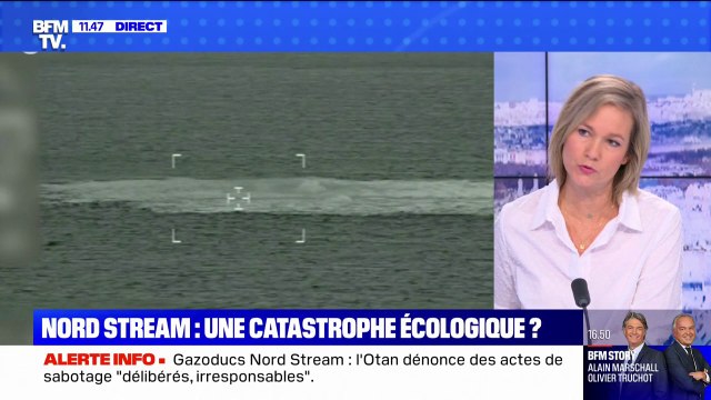 Quel est l'impact pour l'environnement des fuites des gazoducs Nord Stream? BFMTV répond à vos questions