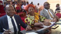 Le Conseil Économique, social, environnemental et Culturel compte repenser les villes ivoiriennes pour en faire les villes durables