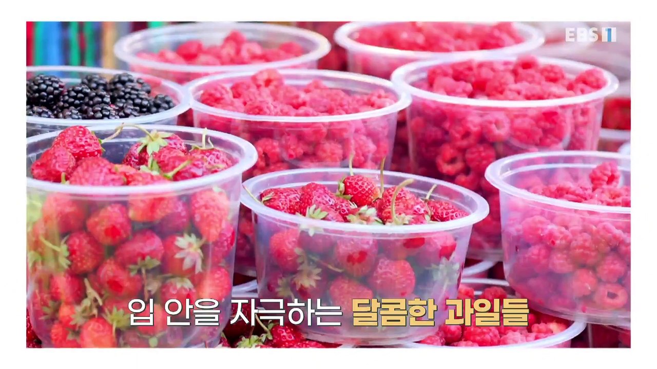 세계테마기행 - 사람이 좋아서, 중앙아시아- 자연을 닮은 사람들, 키르기스스탄_#001
