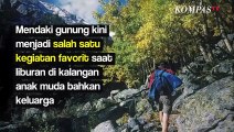 Ketemu Babi Hutan Pas Naik Gunung? Tenang, Ini Tips Mengatasinya