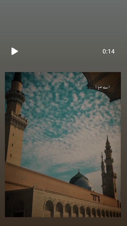 NAAT SARIF
