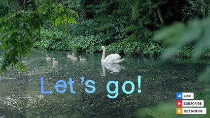 Best Ocean Views - Must Watch till end