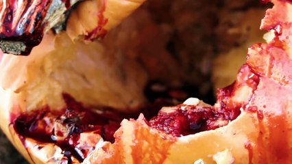 Witch Trials Bande-annonce (EN)