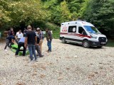 Son dakika haberleri! Sinop Erfelek Şelaleleri'nde ağaç devrildi: 2 ölü, 1 yaralı