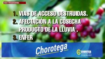 Importante crecimiento registran las exportaciones de café respecto a 2020-2021