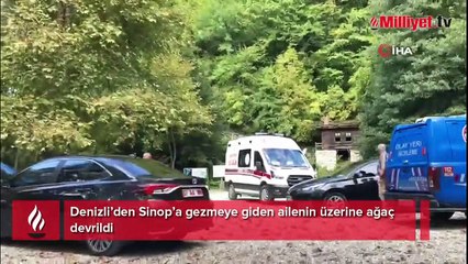 Denizli’den Sinop’a gezmeye giden ailenin üzerine ağaç devrildi: 2 ölü