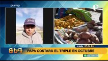 ¡Atención! Papa costará el triple en octubre, según agricultores de Junín