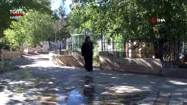 Şehit Oğlu için 78 Yaşında Kur'an-ı Kerim Okumayı Öğrendi - TGRT Haber