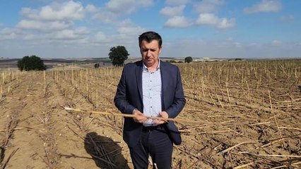 Okan Gaytancıoğlu: "Ayçiçeği Üreticisi, Üretimi Artırmışken Cezalandırıldı"