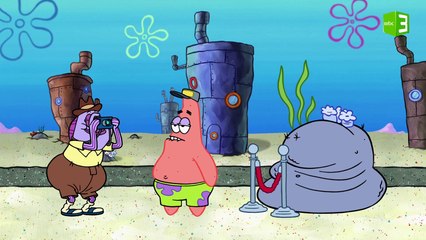 بسيط يعمل مرشد سياحي فهل نجح؟