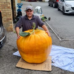 Peterlee dad grows 22-stone pumpkin in his Horden allotment