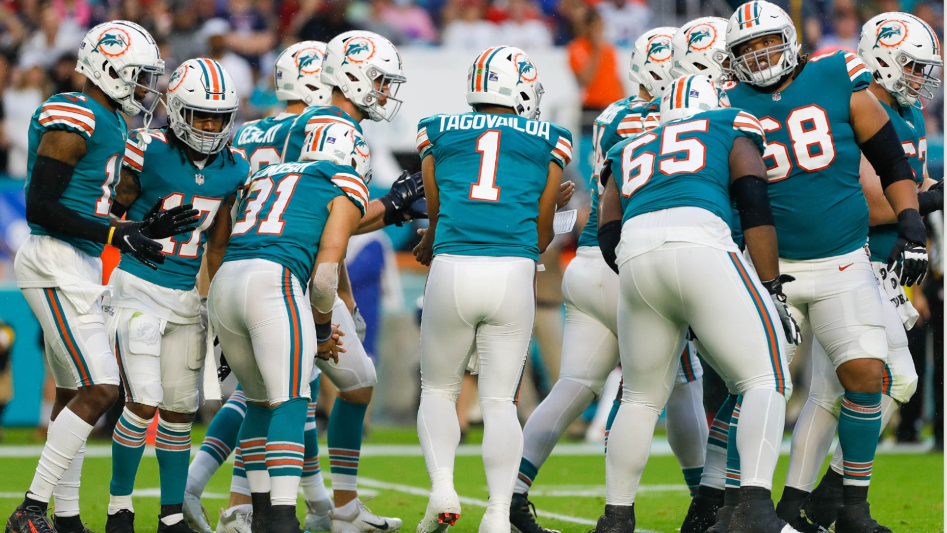 ⁣Miami Dolphins Futures Outlook
