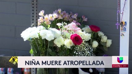 Identifican a hombre que estando ebrio atropelló a niña de 1 año en San Diego