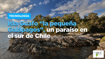 Isla Guafo “la pequeña Galápagos”, un paraíso en el sur de Chile