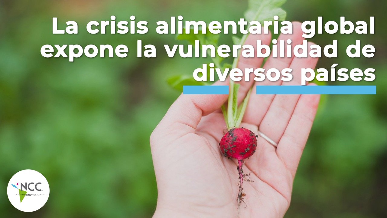 La crisis alimentaria global expone la vulnerabilidad de diversos países | 486 | 3-9 de Octubre 2022