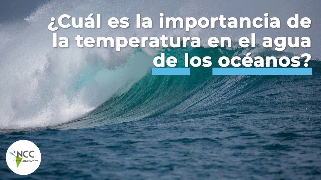 ¿Cuál es la importancia de la temperatura en el agua de los océanos? | 487 | 3-9 de Octubre 2022