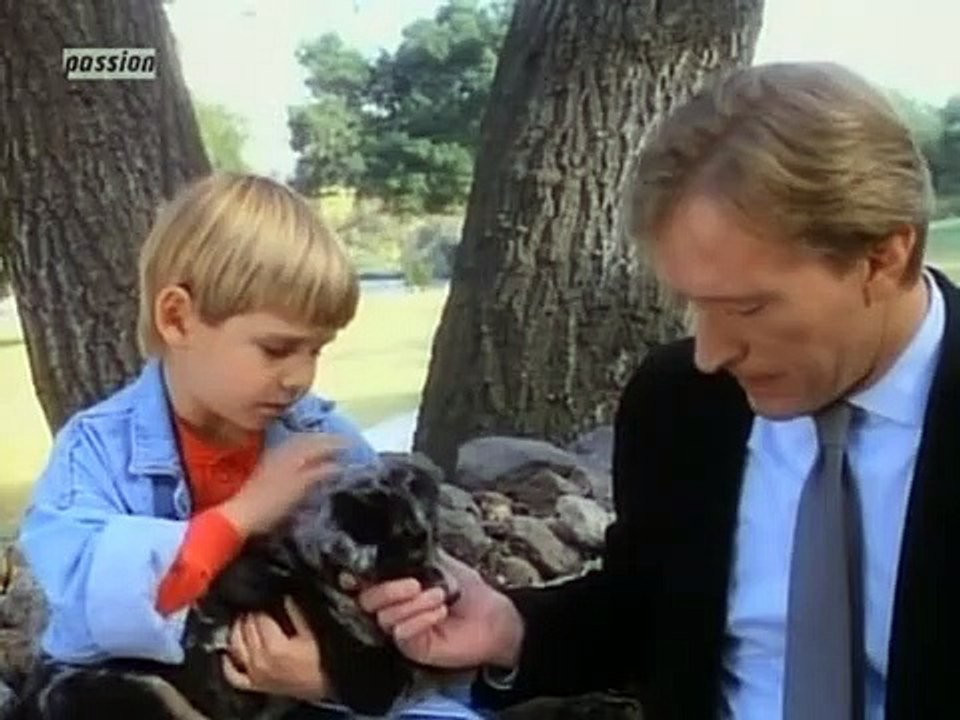 Unter der Sonne Kaliforniens Staffel 12 Folge 17