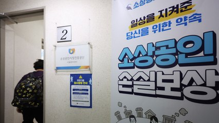 2분기 손실 보상금 지급 시작...만3천여 개사 196억 원 수령 / YTN