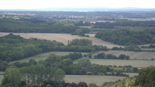 Kent wildlife campaigners are furious about governments environmental laws