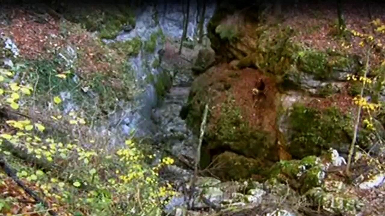 Das Survival-Duo Zwei MäNner, Ein Ziel Staffel 3 Folge 8 HD Deutsch