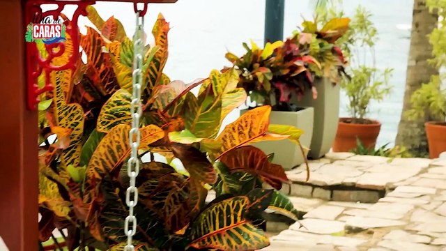 Susana Vieira brinca com edição da Caras: “Eu sou capa, tá boa?”