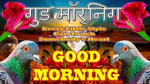 Good morning video Hindi | Morning wishes Hindi | Good morning messages Hindi