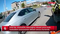 Motosiklet sürücüsünün dikkati yavru kediyi ölümden kurtardı