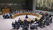 سيناريوهات - ما السر وراء دعوات تغيير مجلس الأمن؟