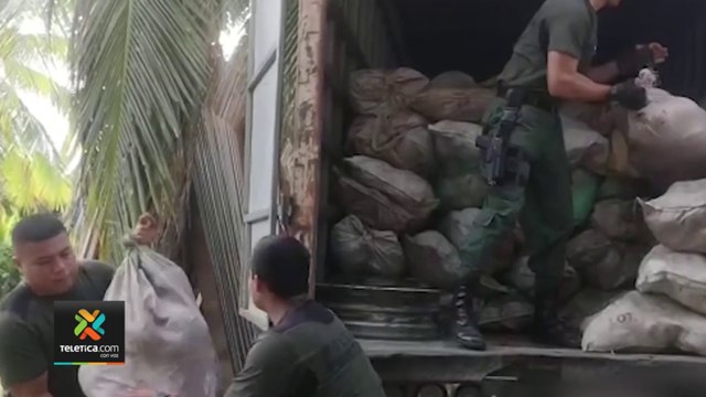 tn7-Incautan millonario cargamento de licor ilegal oculto en cocos en Talamanca-290922