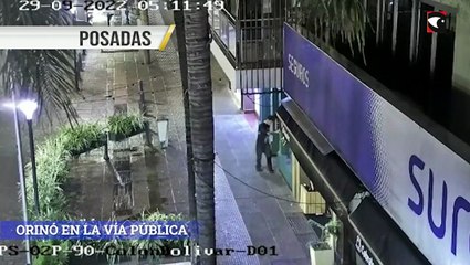 Un hombre orinó en la vía pública, destruyó plantas y carteles de comercios quedó detenido