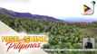 Mount Apo Natural Park, bukas na sa publiko, turista, at mountaineers
