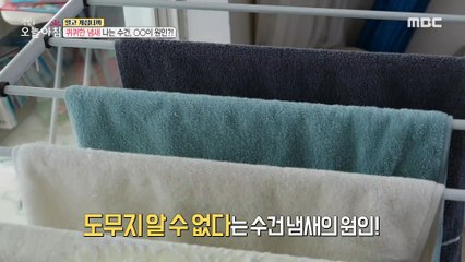 [HOT] A wet-smelling towel, 'bacteria' is the cause?!, 생방송 오늘 아침 20220930