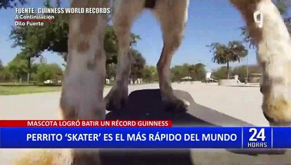 EEUU: Perro “Skater” logra romper record Guinness
