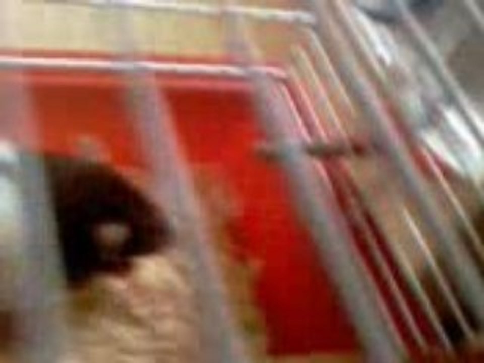 VIDEO_002